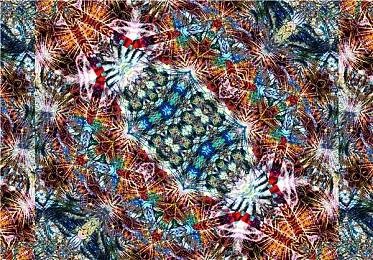 《三角战略》从Switch美服下架 恢复购买时间待定